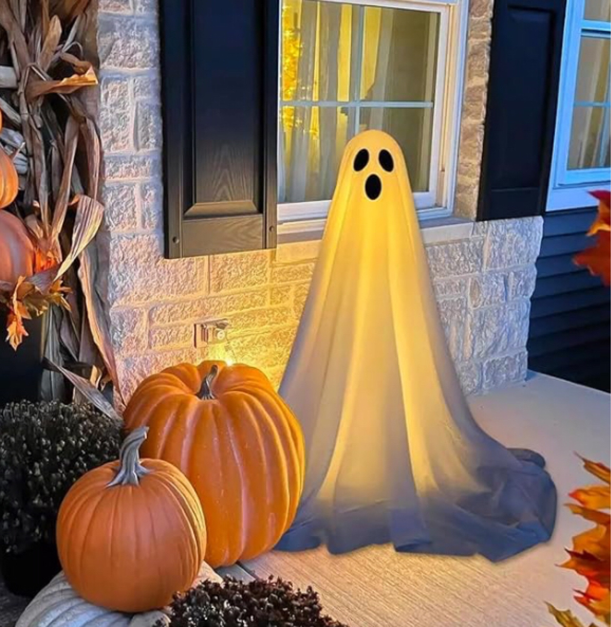 Amazon // Halloween // ghost


#LTKSaleAlert #LTKSeasonal