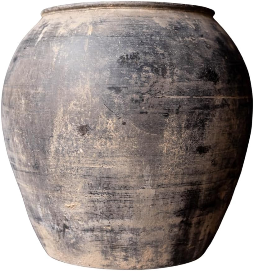 Vintage Olive Tree Pot Large | Amazon (US)