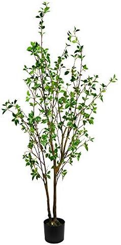 Vickerman Everyday 72" Indoor Potted Baby Leaf Tree. Black Plastic Pot - Faux Indoor Greenery Decor  | Amazon (US)