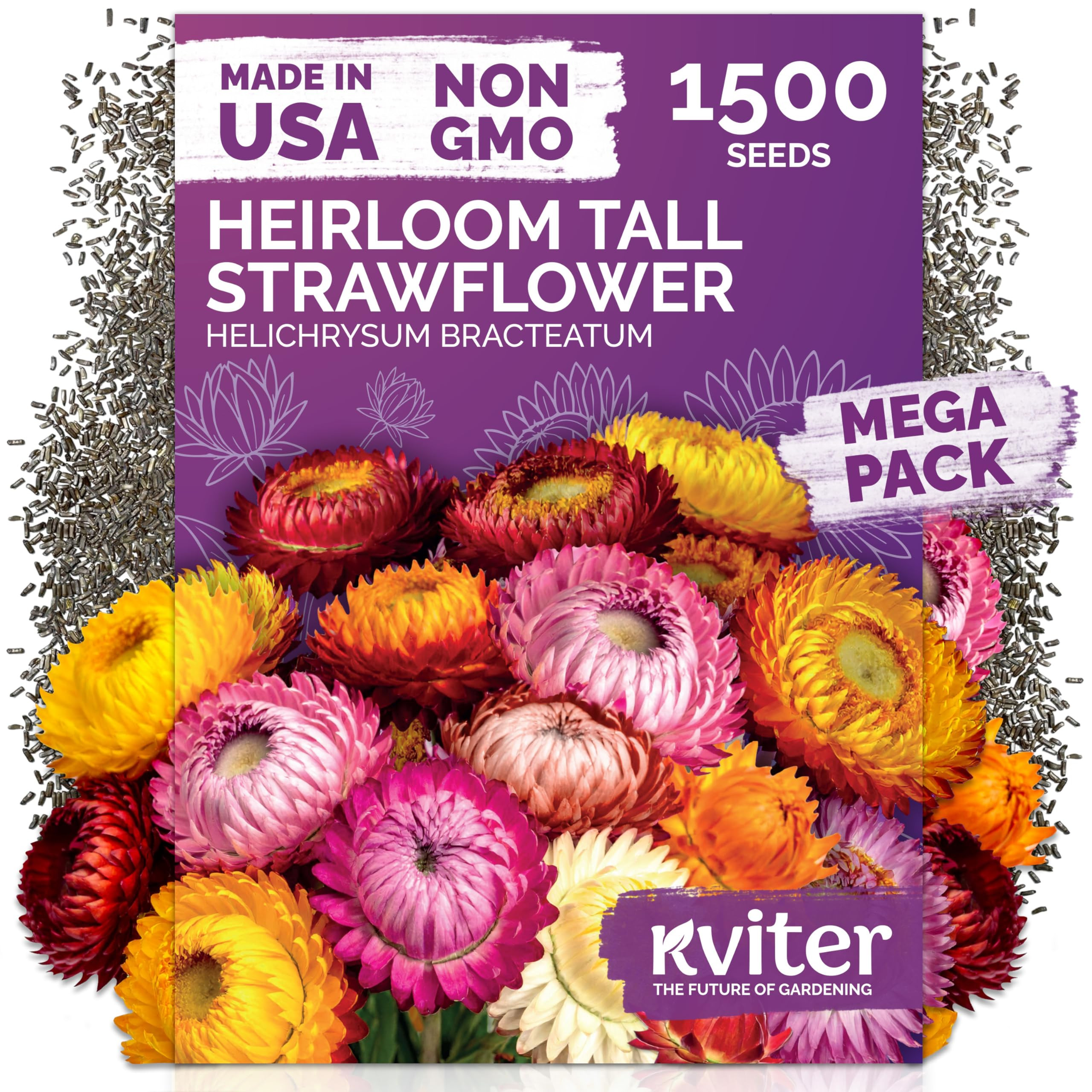 KVITER 1,500 Tall Mix Strawflower Seeds for Planting (Xerochrysum/Helichrysum Bracteatum) — Gol... | Amazon (US)