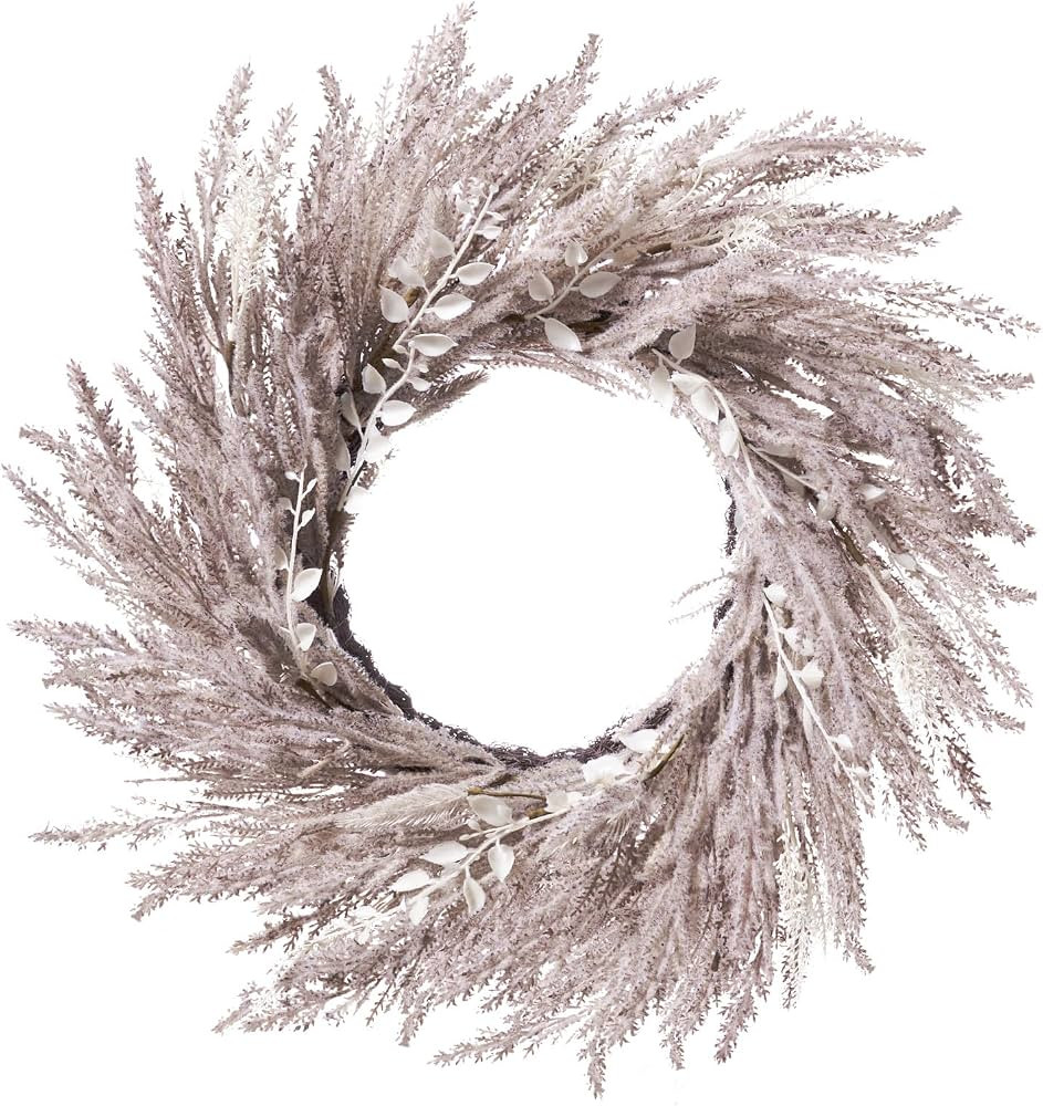 DN DECONATION Fall Wreath for Front Door, 24 Inch Beige & White Pampas Grass Door Wreath Hanging ... | Amazon (US)