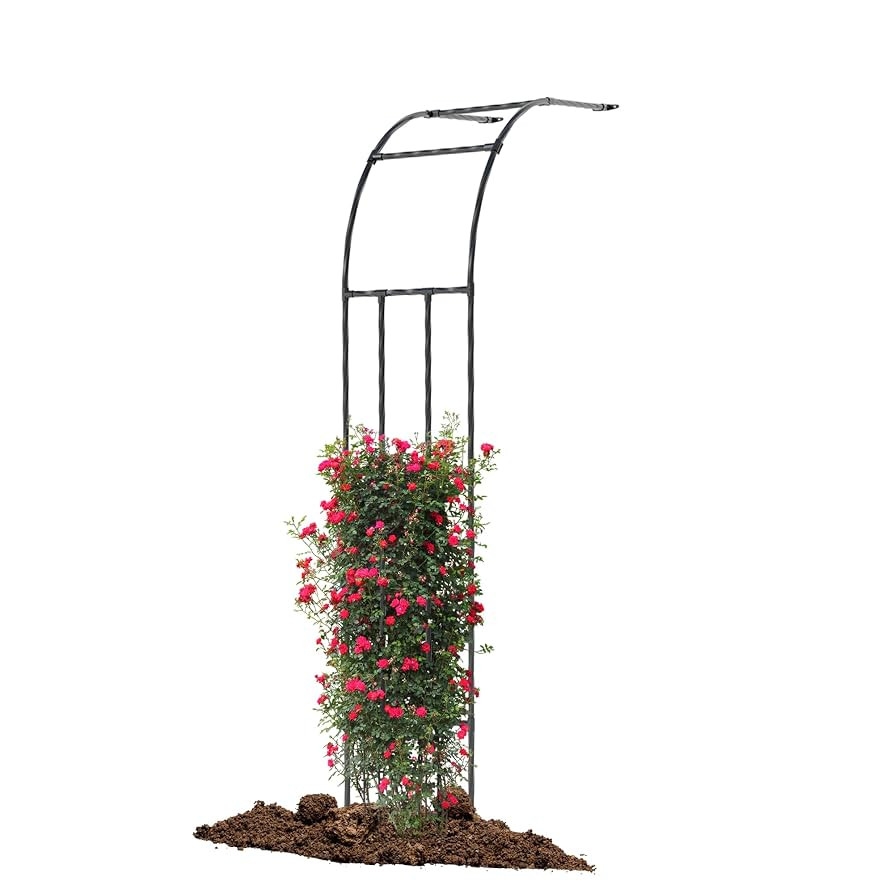 Twira Half Side Garden Arch Trellis, 7.9FT Metal Garden Arbor Trellis for Climbing Plants Outdoor... | Amazon (US)