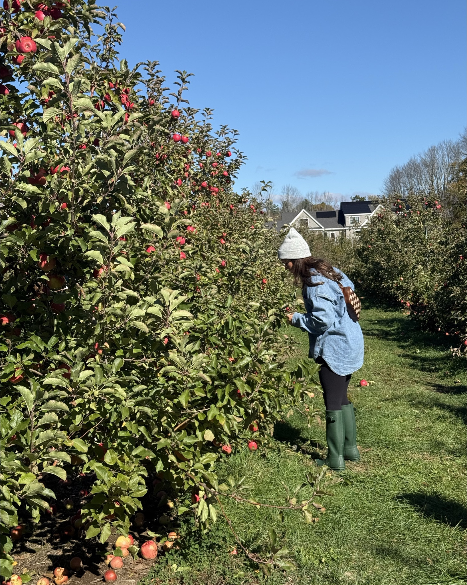 Apple picking 🍎 “devin20” to save on bag 🍁