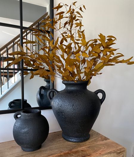 Fall florals dried eucalyptus fall home decor

Black vase, fall stems, fall inspo, fall decor, autumn decor, seasonal decor

#LTKhome #LTKSeasonal