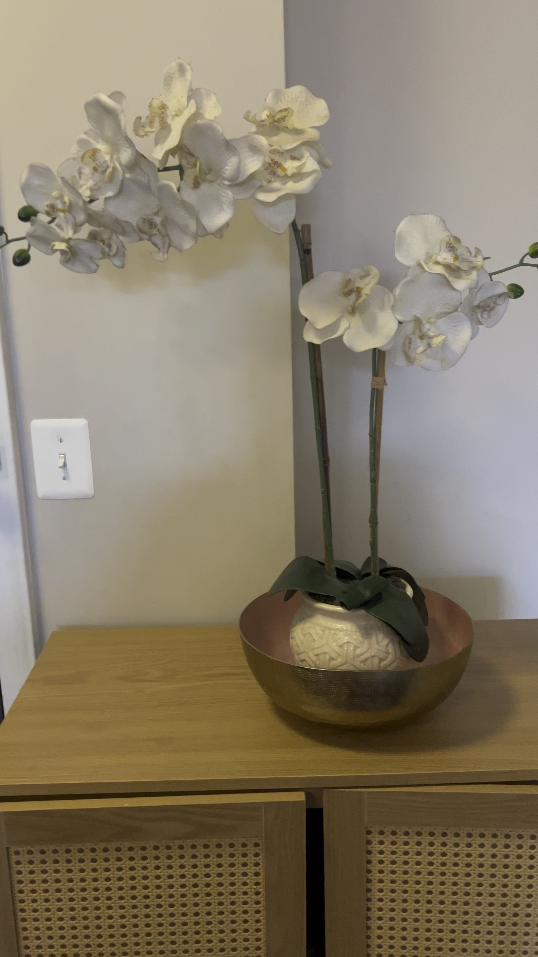 This wooden cabinet is an amazing must have and a gorgeous decor item for extra storage!

#LTKhome #LTKfindsunder100 #LTKsalealert