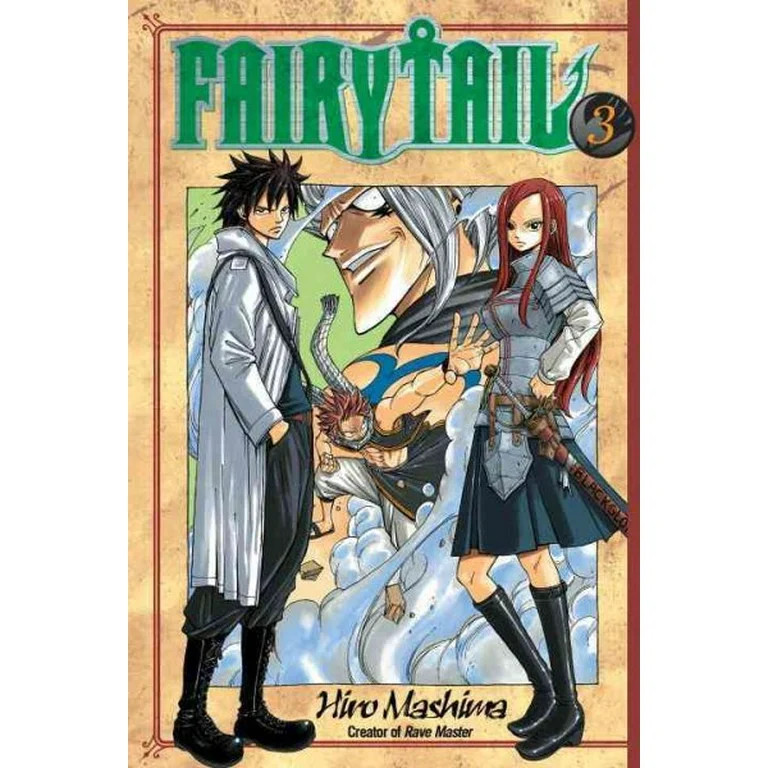 Fairy Tail: FAIRY TAIL 3 (Series #3) (Paperback) | Walmart (US)