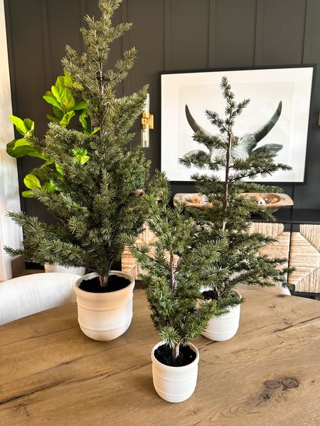 LOVE these little spruce trees that come in a planter.  They are available in four sizes!  

#LTKHoliday #LTKhome #LTKSeasonal