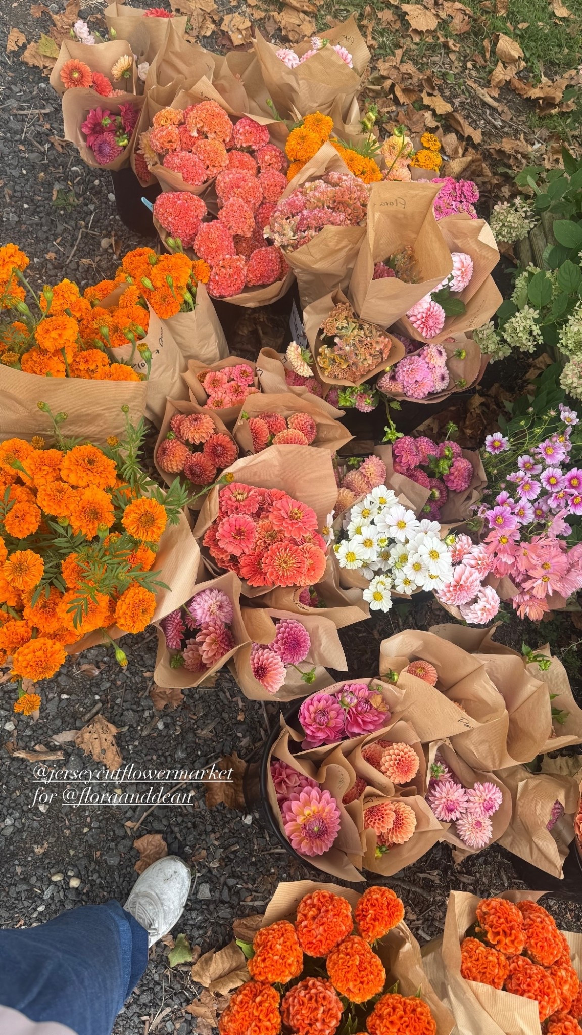 @jerseycutflowermarket 
for @floraanddean ✨ #flowers #fallflowers 

#LTKWedding #LTKSeasonal #LTKFallSale