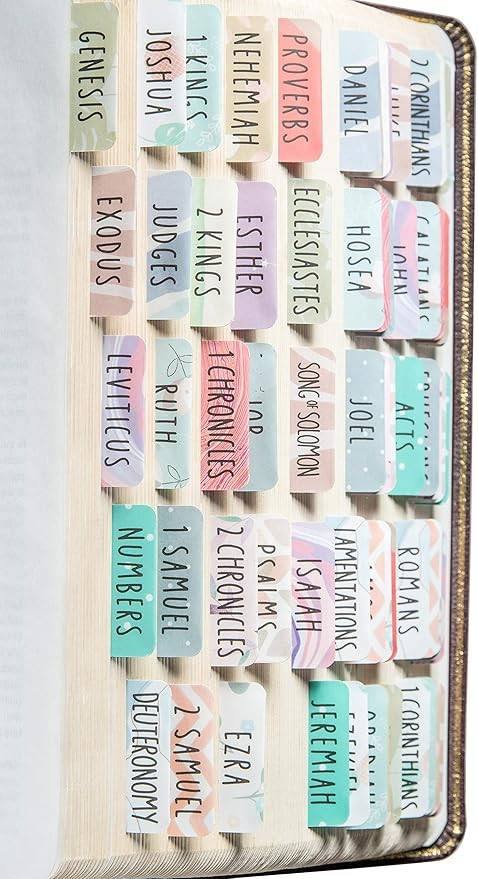 DiverseBee Laminated Bible Tabs (Large Print, Easy to Read), Personalized Bible Journaling Tabs, ... | Amazon (US)