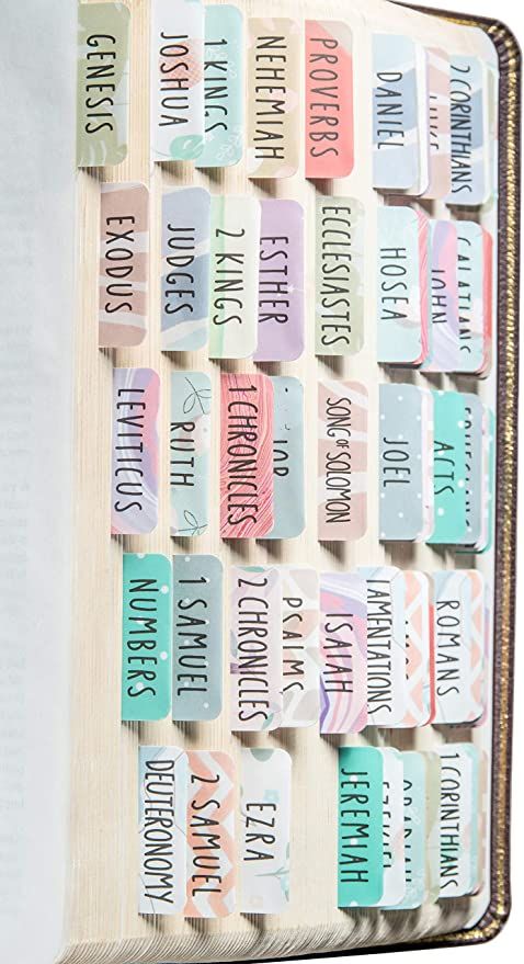 DiverseBee Laminated Bible Tabs (Large Print, Easy to Read), Personalized Bible Journaling Tabs, ... | Amazon (US)