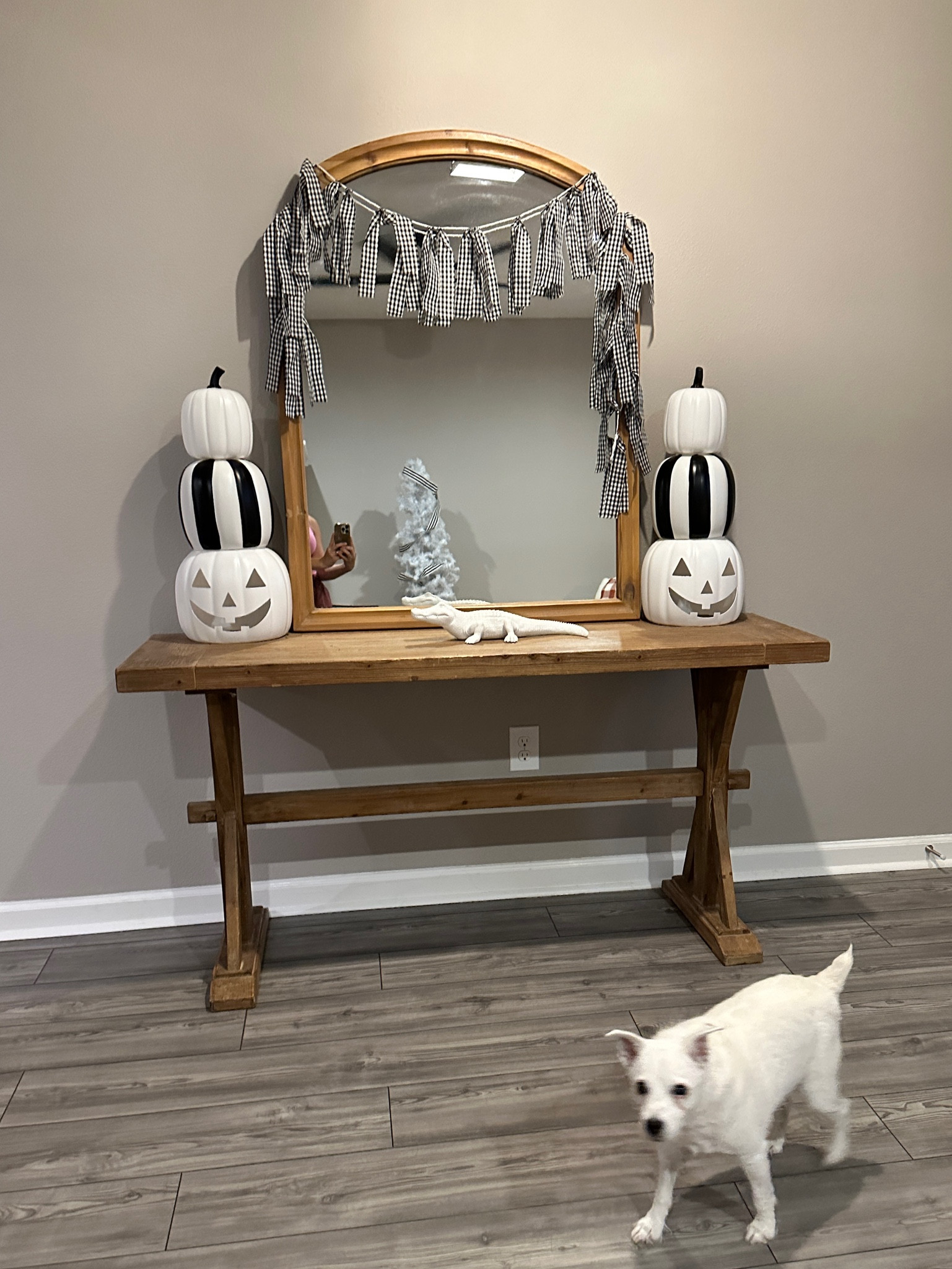 These pumpkins are why I will never say no to stopping by Five Below! (Make sure to check your local store for the white set if you can’t get them shipped!🤍) #fivebelow #halloweendecor #falldecor 

#LTKSale #LTKHalloween #LTKhome