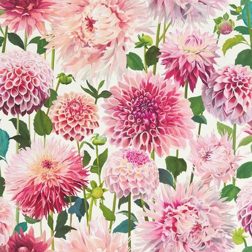 Harlequin Dahlia Blossom/Emerald/New Beginnings Wallpaper | DecoratorsBest | DecoratorsBest