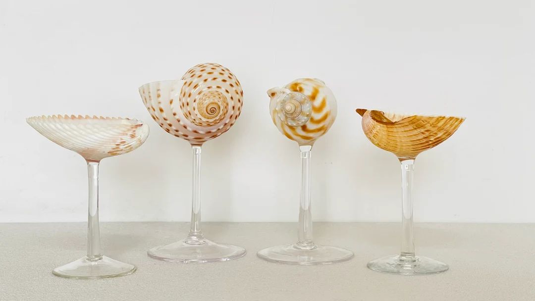 Set of 4 Coupe Glasses Set,seashell Glasse,hawaiian Party Glass,beach Wedding Wine Glass,handmade... | Etsy (US)