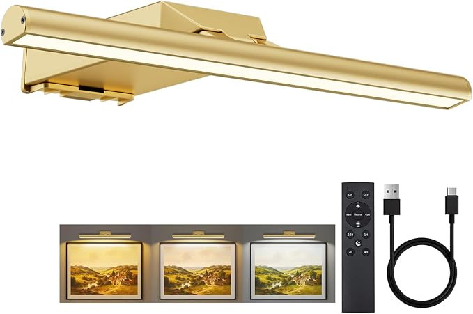 Picture Lights for Wall Battery Operated, 10000mAh Rechargeable Wireless | 12" Art Light with Rem... | Amazon (CA)