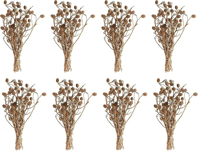 Creative Co-Op Set of 12, 12" L Dried Bora Bouquet Artificial Plants, Natural | Amazon (US)
