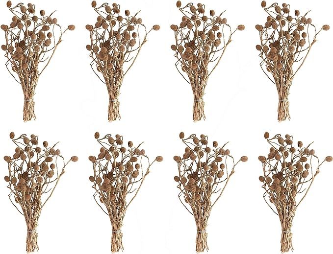 Creative Co-Op Set of 12, 12" L Dried Bora Bouquet Artificial Plants, Natural | Amazon (US)