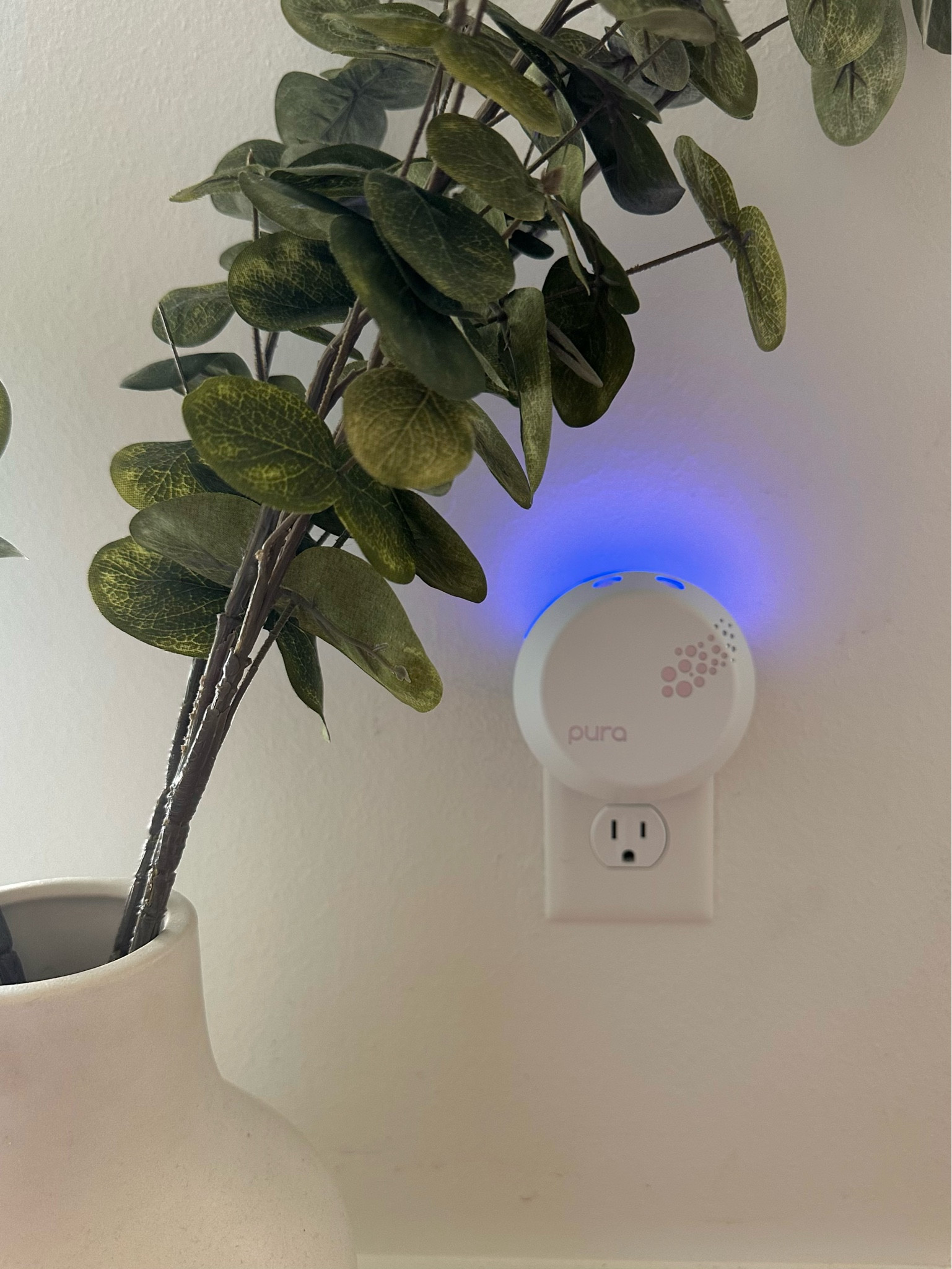 the best smelling, clean air fresheners I’ve ever had @pura 🌸 trust me you’re going to want the Santorini scent. code FREEDEVICEJANDK active for 72 hours!  #purapartner #liketkit 

#LTKFind #LTKSeasonal #LTKhome