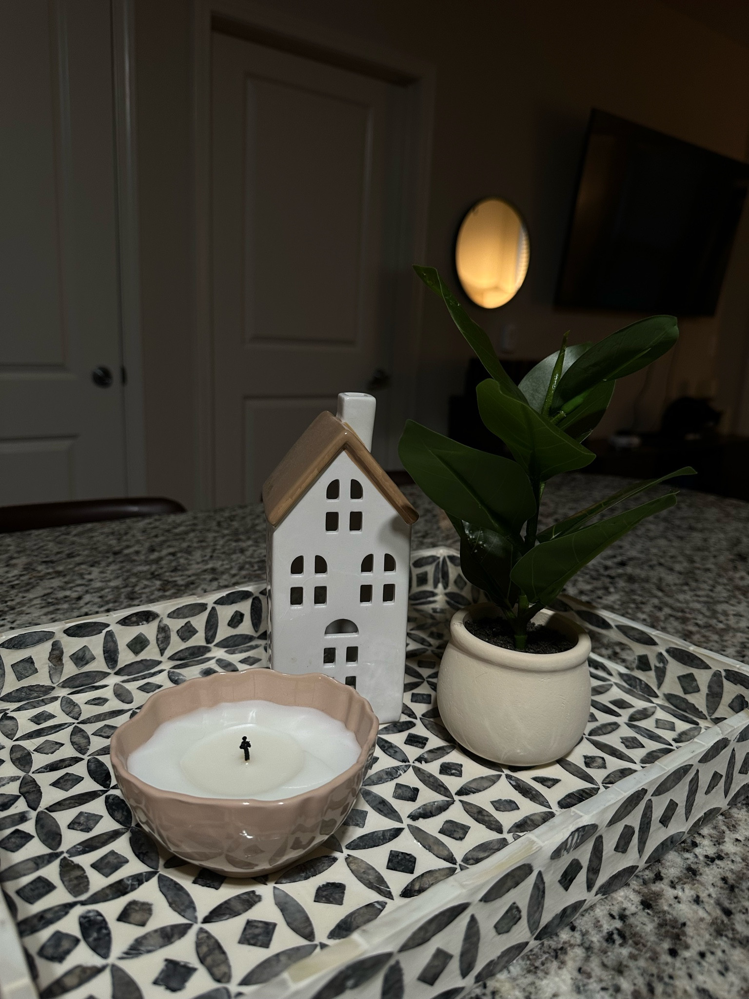 this was so cute until my cat started munching on my new fake plant 🥺 