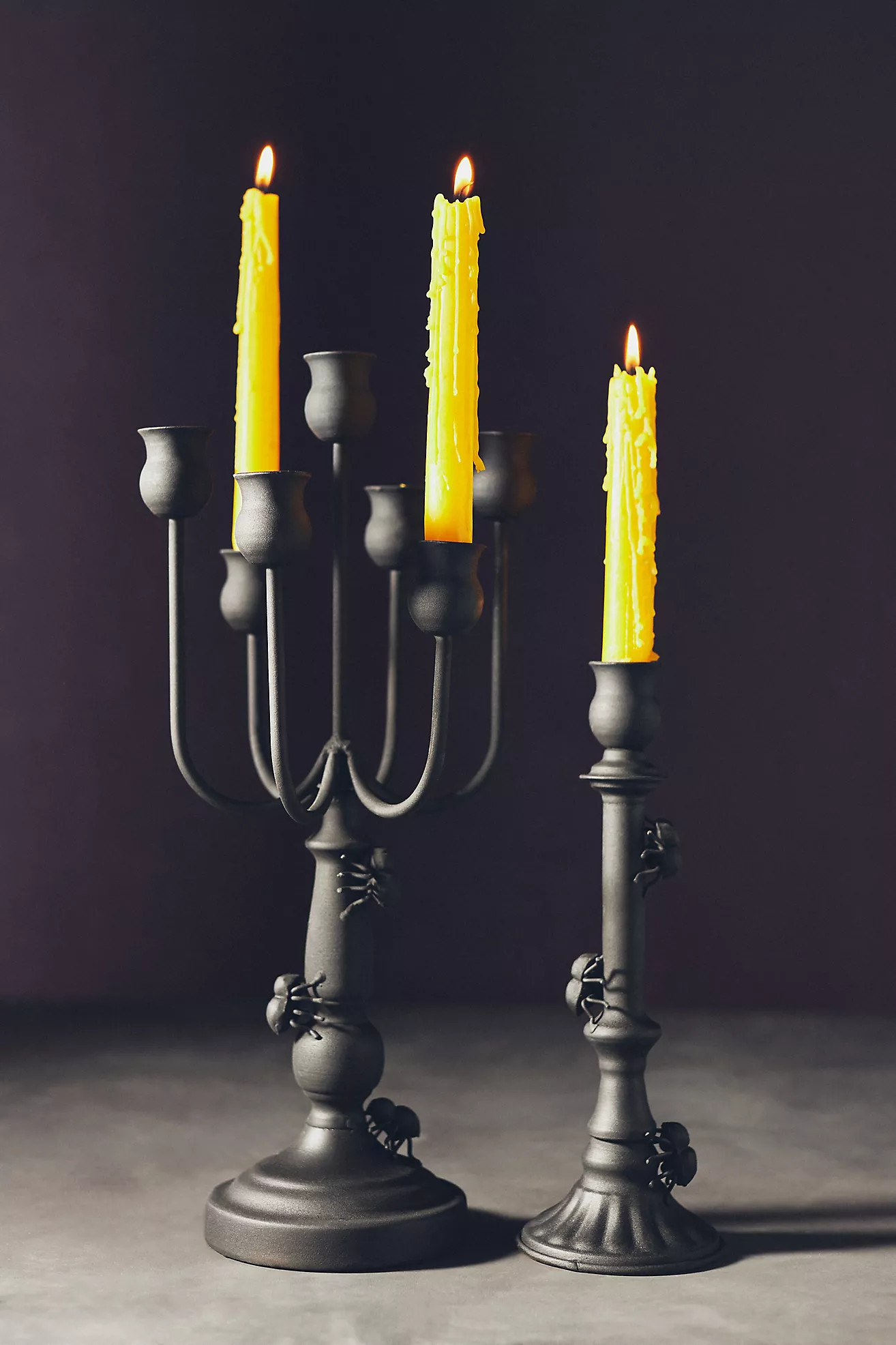 Spider Candlestick Holder | Anthropologie (US)