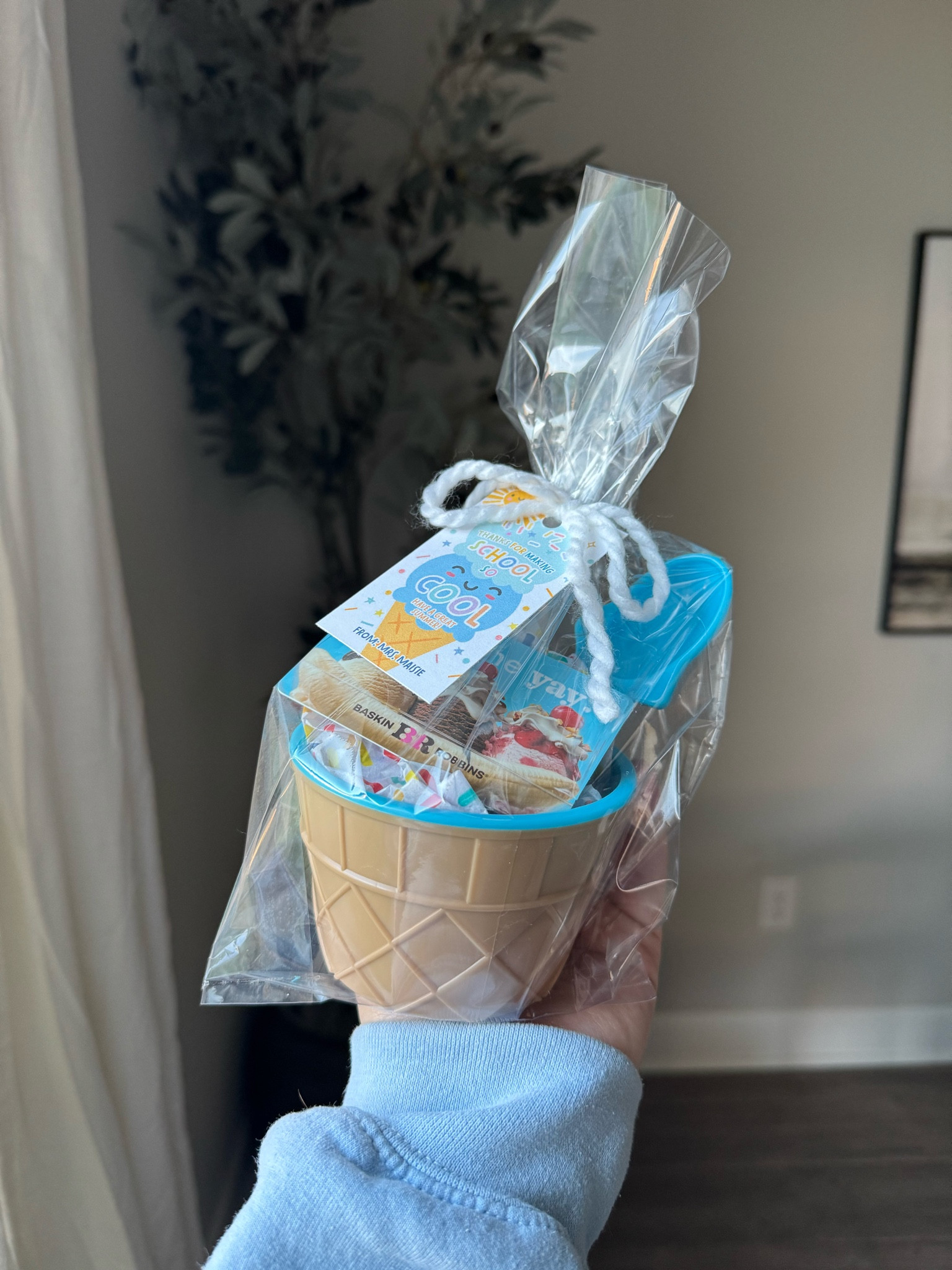 Student or classroom gifts 

#LTKHome #LTKSeasonal #LTKKids