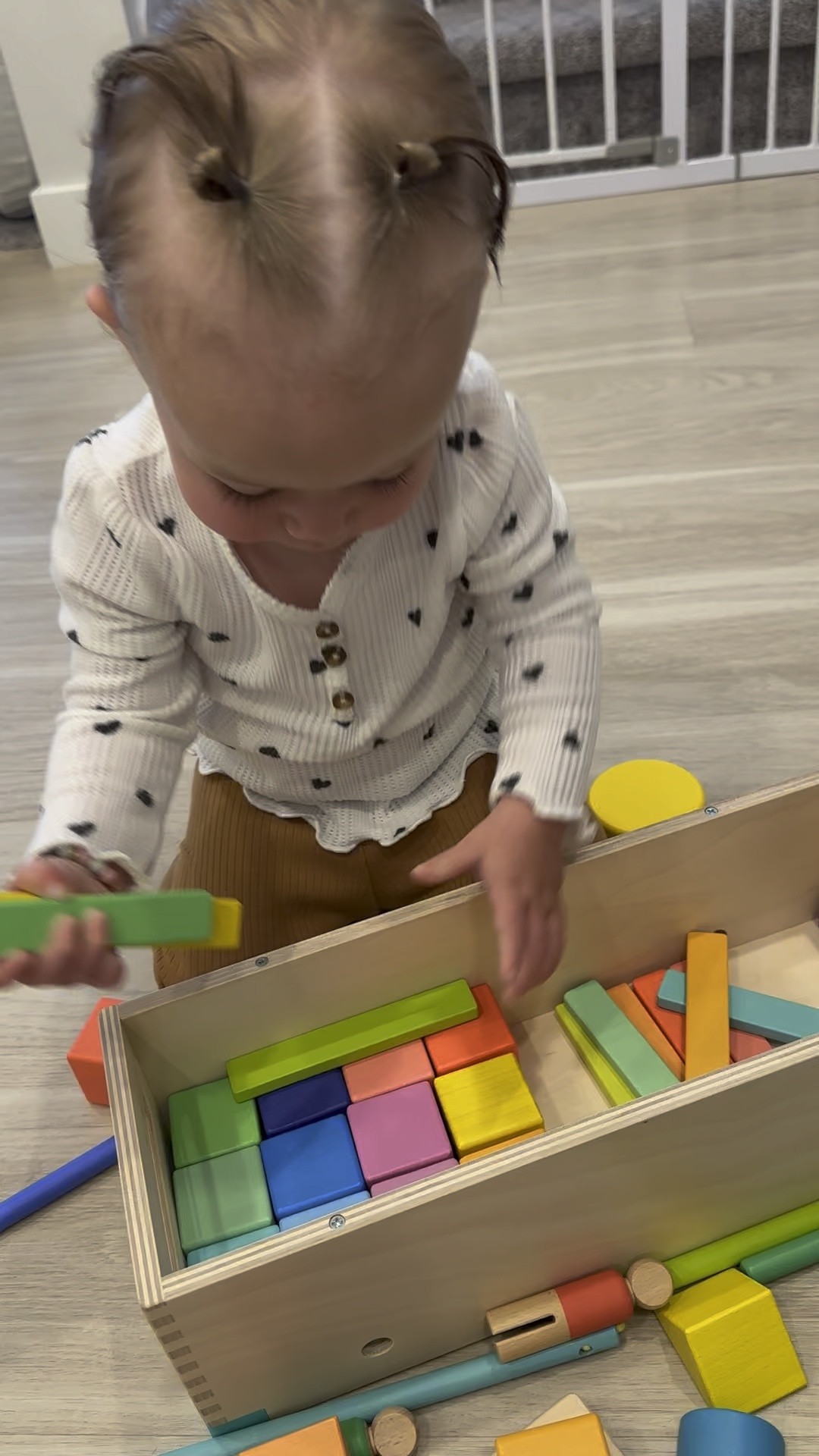 Lottie’s favorite toys!! You can buy sets, or individual kits, or get a subscription and they send for every mile stone! We love Lovevery toys! 

#LTKBaby #LTKKids