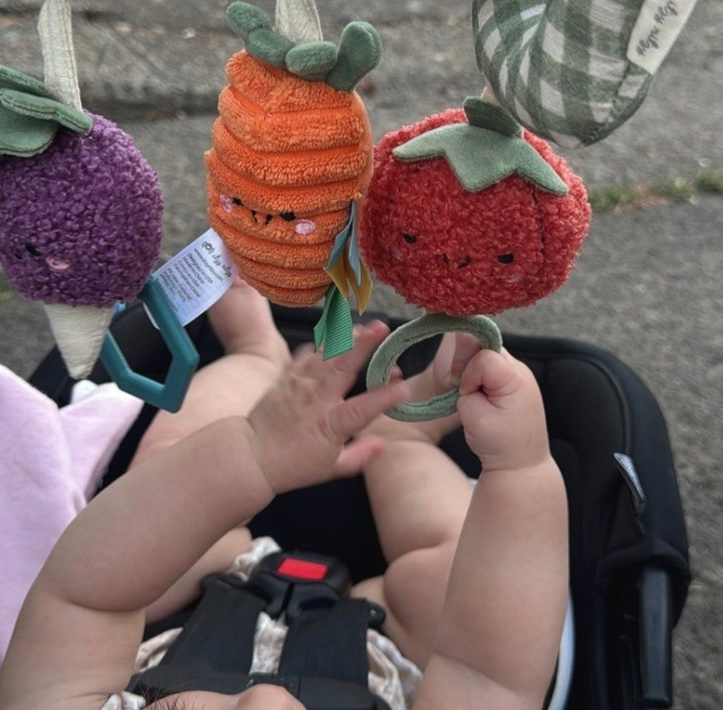 Baby toys 6-12 months

#LTKMothersDay #LTKgrwm #LTKmomlife