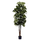 Nearly Natural 6ft Fiddle Leaf Fig Artificial Trees, 72in, Green | Amazon (US)