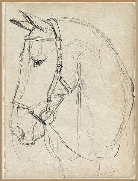 Amanti Art Framed Canvas Wall Art Print (32x42) Horse in Bridle Sketch II by Jennifer Paxton Park... | Amazon (US)