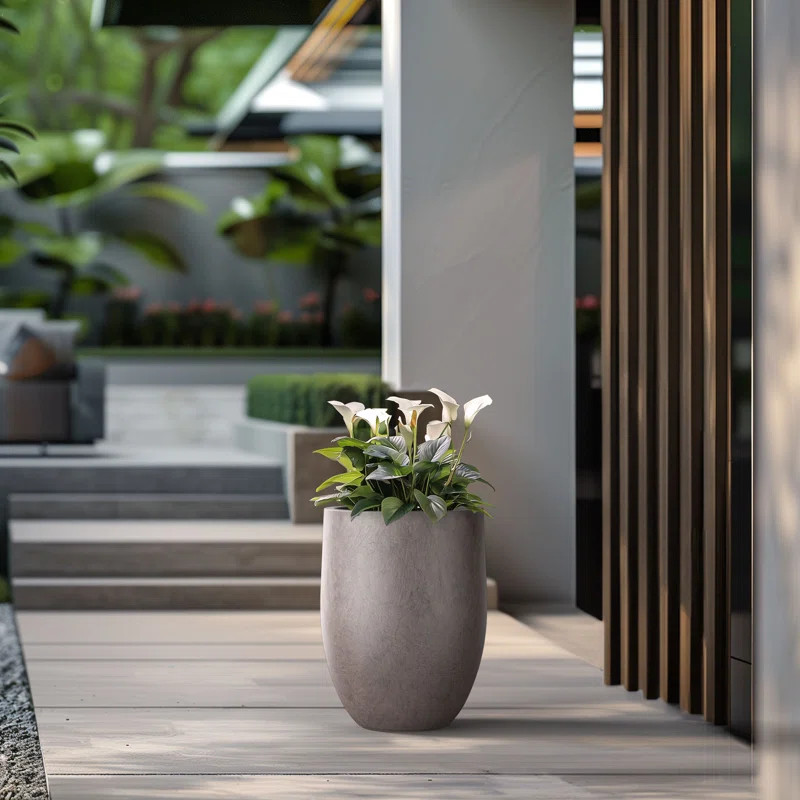 Wrought Studio™ Irmelie Cement Pot Planter & Reviews | Wayfair | Wayfair North America