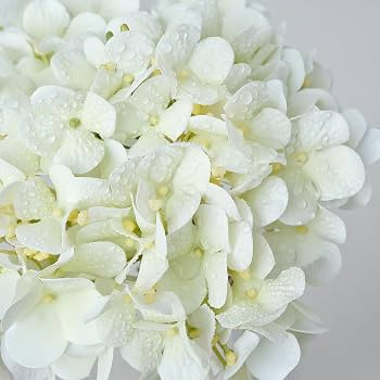 4PCS White Artificial Flowers Hydrangea 20" Real Touch Latex Faux Hydrangeas Silk Flowers with Gr... | Amazon (US)