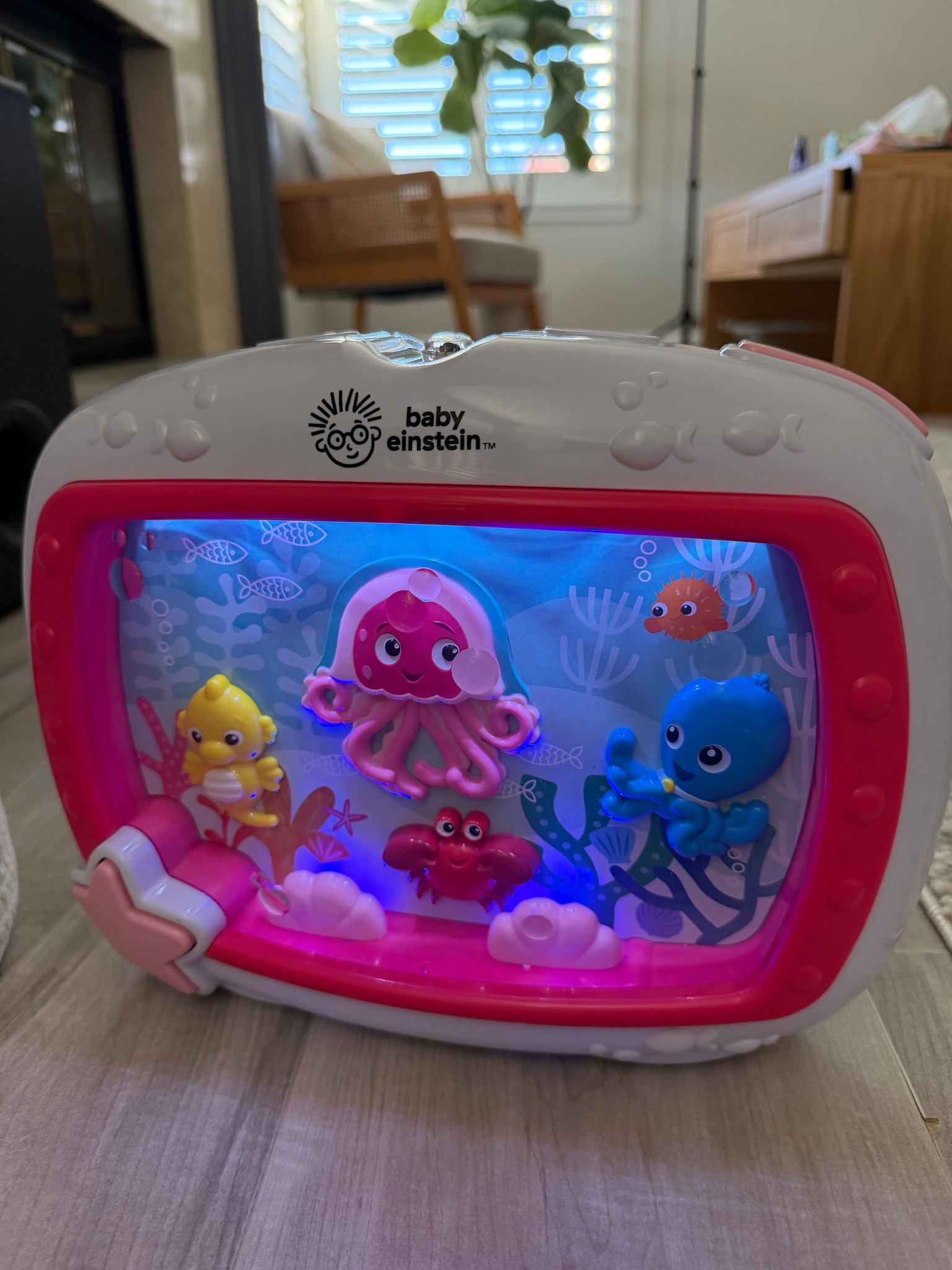 Baby Einstein aquarium 