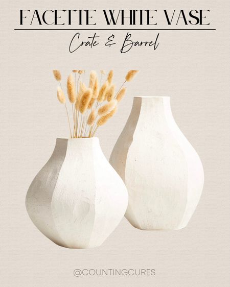 The Facette white vase from Crate & Barrel adds a subtle but beautiful detail to any space at home!
#homedecor #neutralaesthetic #minimalistlook #tablescape

#LTKstyletip #LTKfindsunder100 #LTKhome