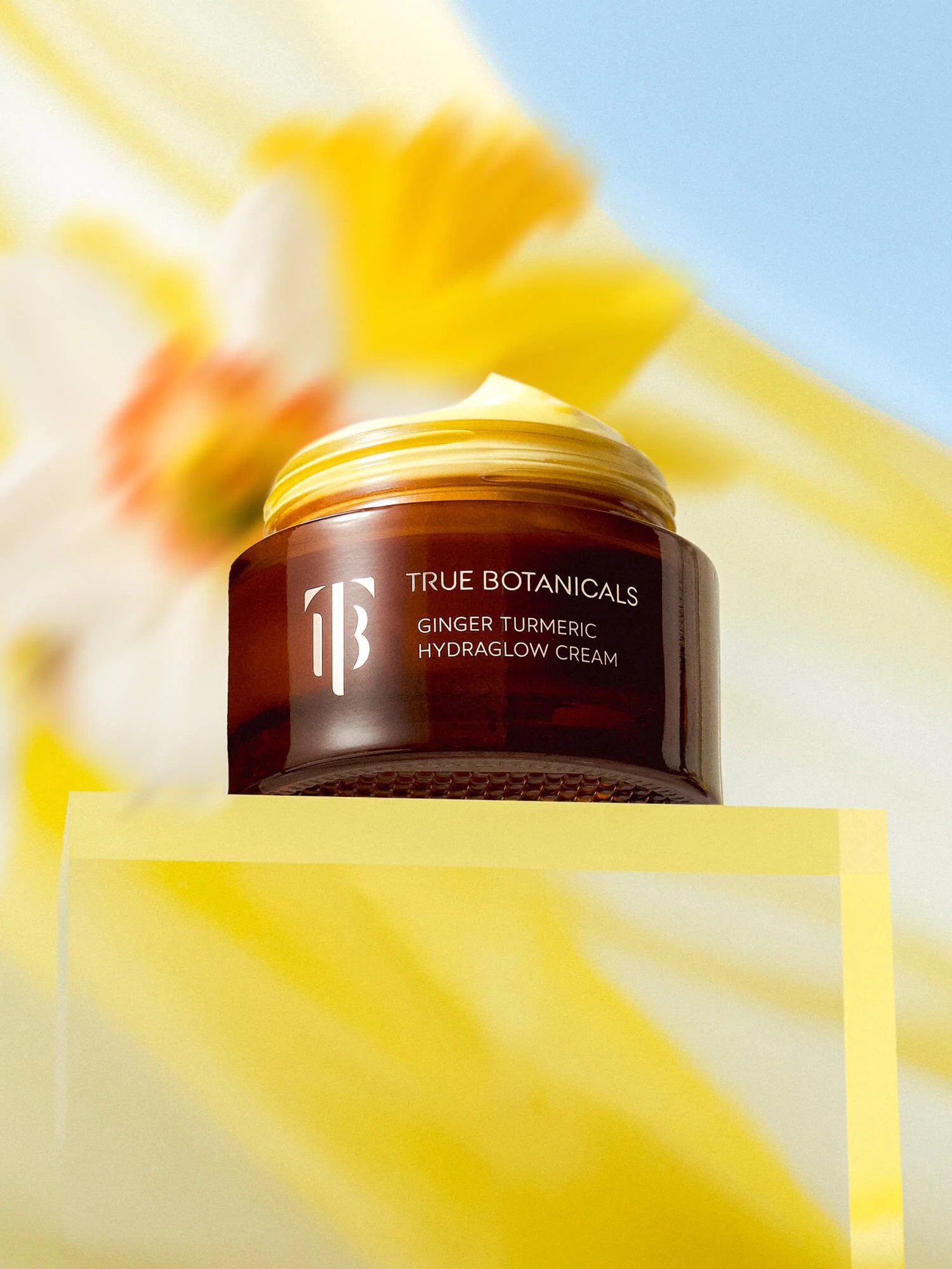 Ginger Turmeric HydraGlow Cream | True Botanicals