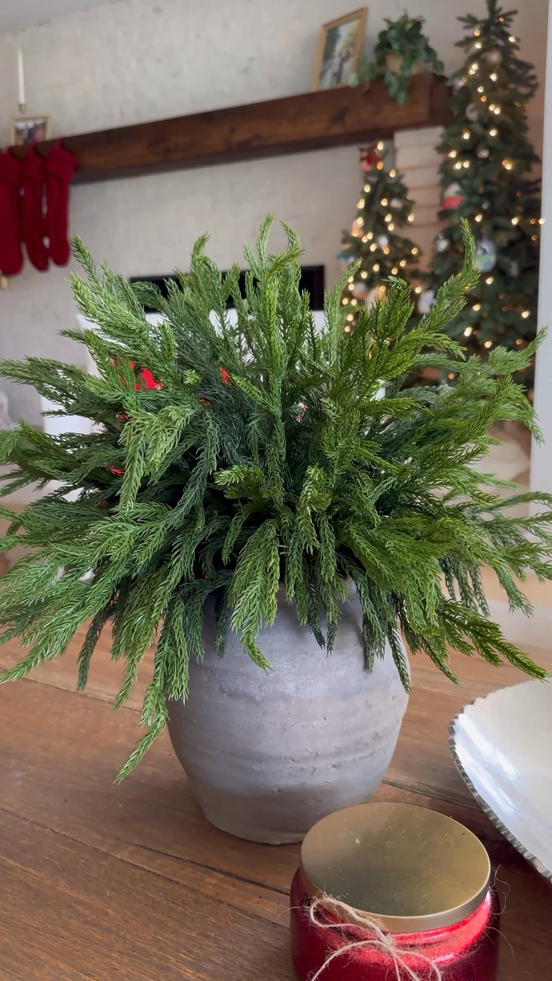 These real touch Norfolk Pine Branches are so good and make the perfect addition to holiday home decor. There is a reason they are best sellers every year. You can use these branches for vase arrangements, wreaths, indoor or outdoor decor. 

#LTKHome #LTKHoliday #LTKSeasonal