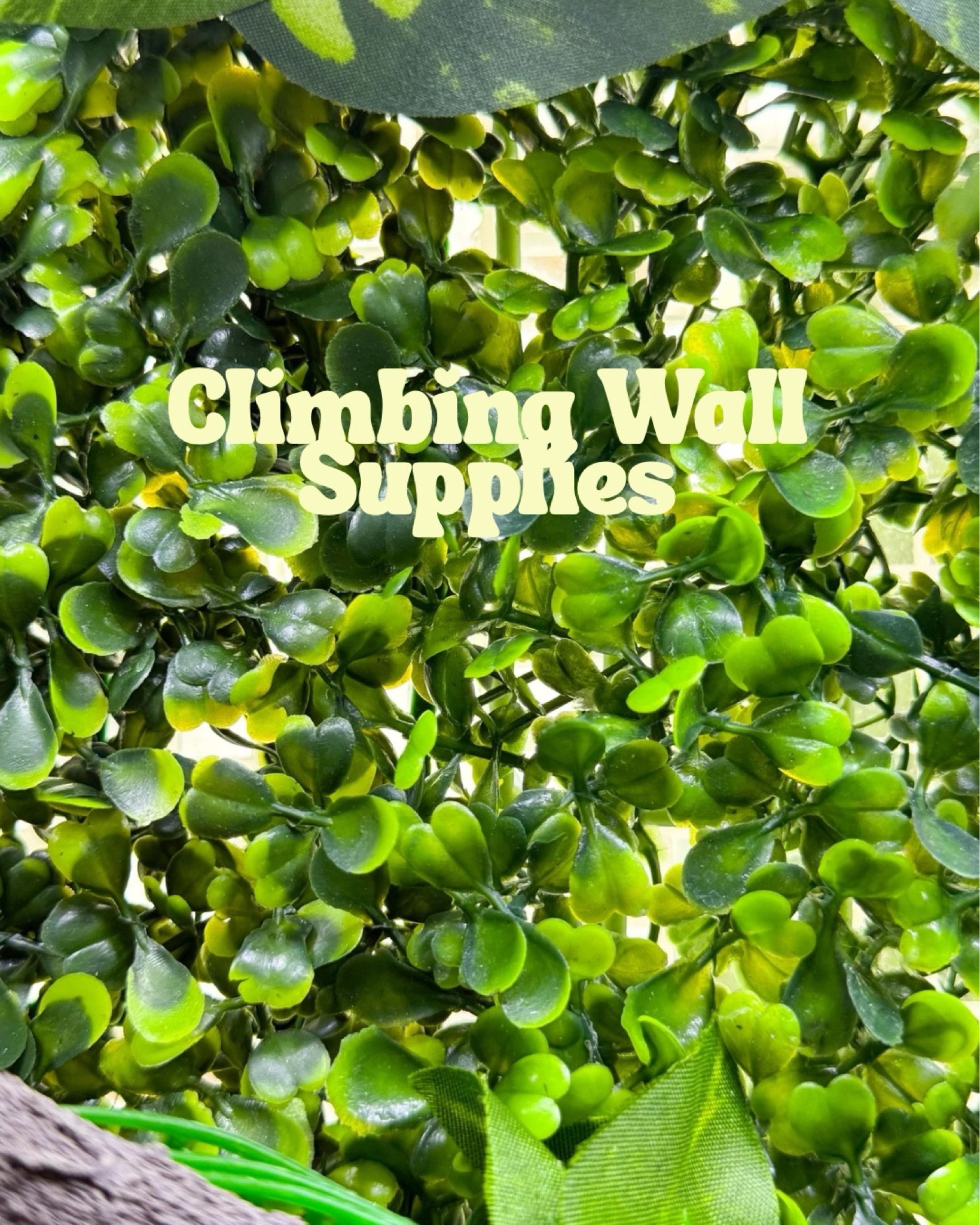 Hermit crab tank climbing wall supplies