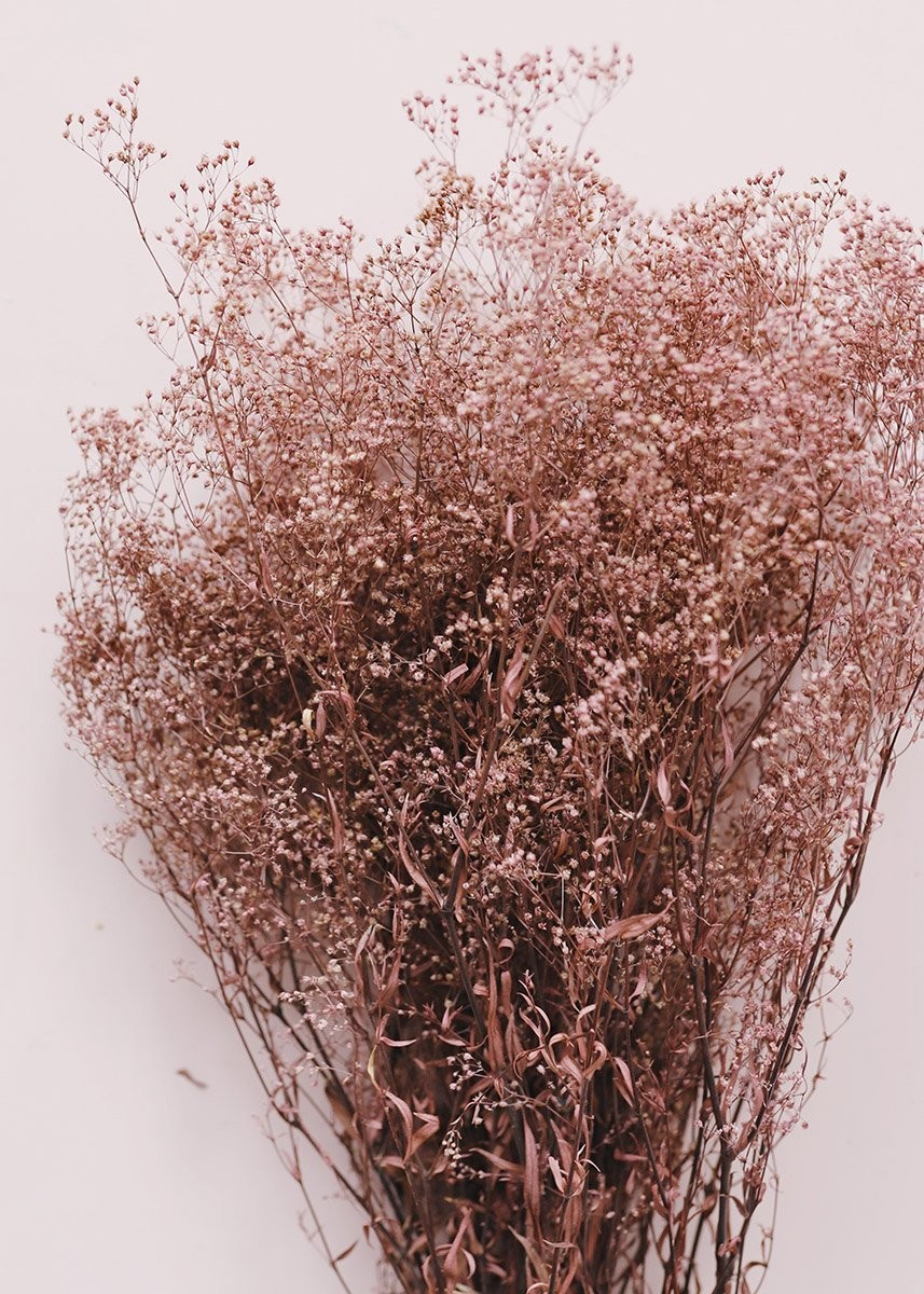 Preserved Mauve Brown Stardust Gyp Bundle | Afloral (US)