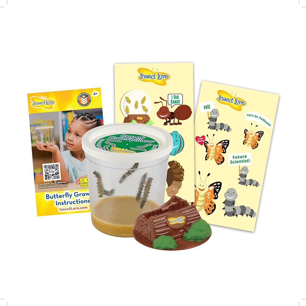 Insect Lore Cup of Caterpillars | 5 Live Caterpillars for Butterfly Garden Kit | Refill for Paint... | Amazon (US)