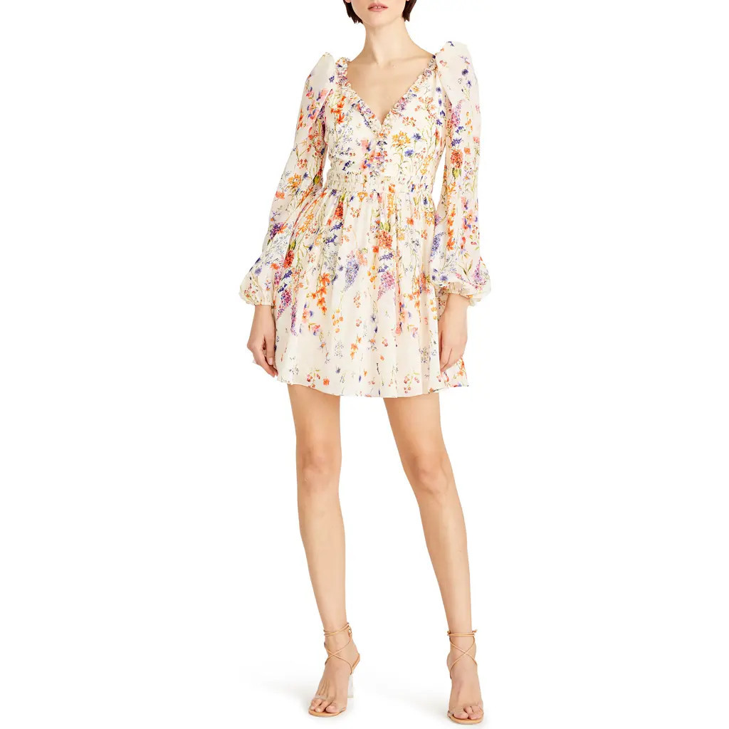 ML Monique Lhuillier Lila Floral Print Long Sleeve Chiffon Minidress in Wildflower Meadow at Nordstrom, Size 0 | Nordstrom