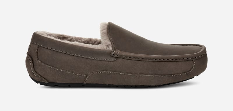 UGG® Men's Ascot Sheepskin Slipper Loafers in Thunder Cloud, Size 12 | UGG (US)