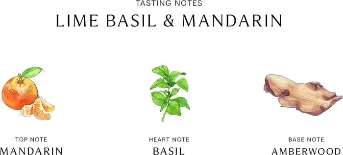 Lime Basil & Mandarin Scent Surround™ Diffuser | Nordstrom