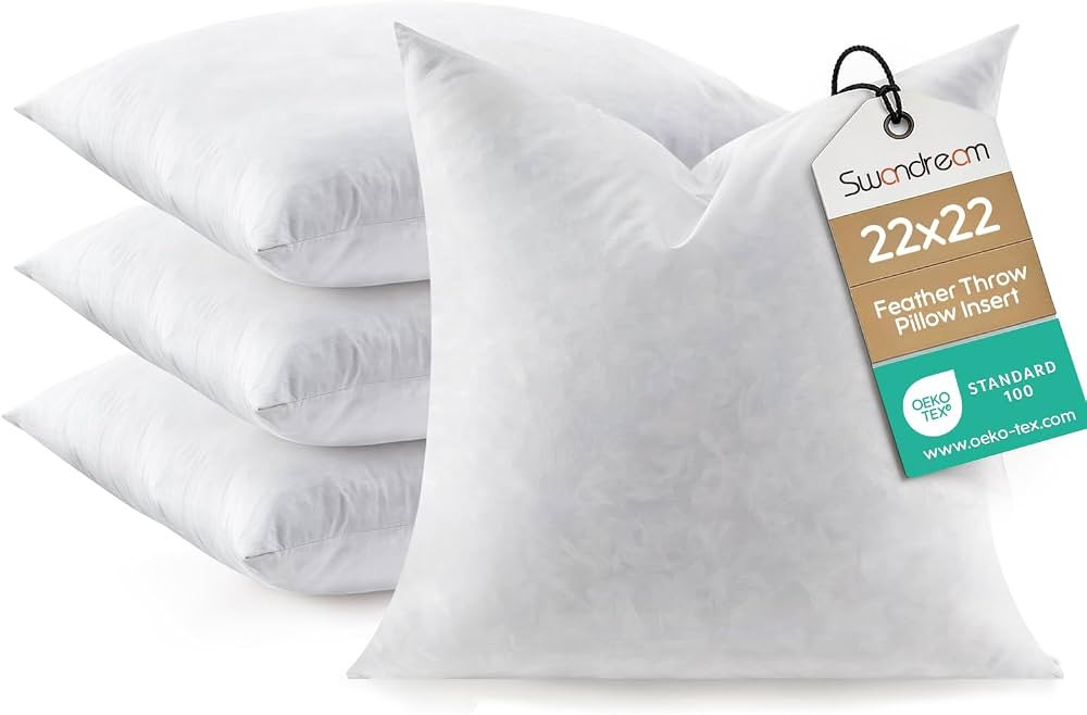 Feather Throw Pillow Inserts Set of 4, Soft Fluffy Square 22 x 22 Inches Decorative Pillow Insert... | Amazon (US)