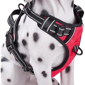 PoyPet No Pull Dog Harness, Reflective Vest Harness with 2 Leash Attachments and Easy Control Han... | Amazon (US)