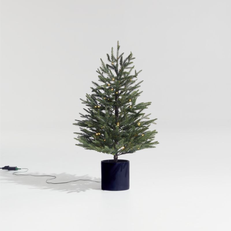 Faux Potted Norway Spruce Pre-Lit LED Tree with White Lights 3' + Reviews | Crate & Barrel | Crate & Barrel