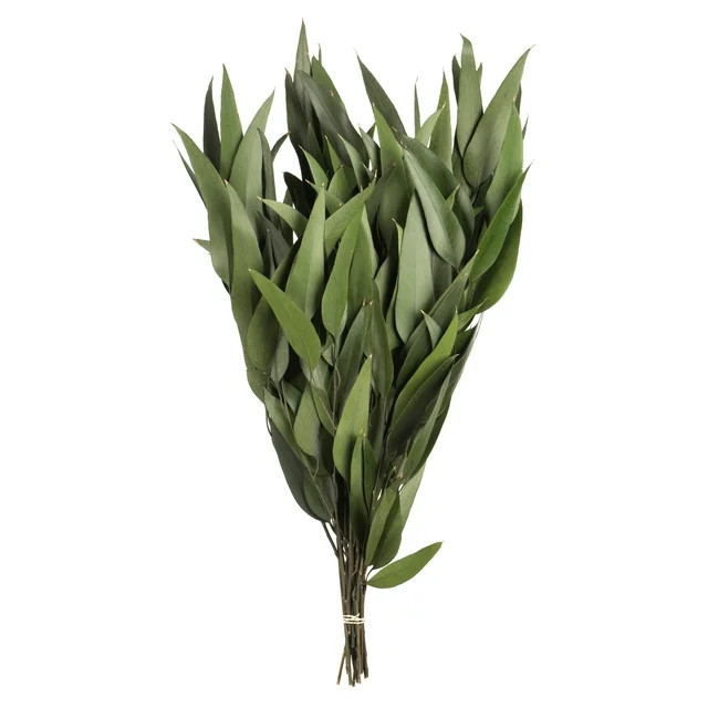 Vickerman 18" Green Weeping Willow Eucalyptus Foliage, 5 oz Bundle, Preserved - Walmart.com | Walmart (US)