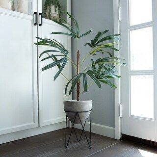 40" Switch Cane Palm in Cement Planter on metal stand - ONE-SIZE | Bed Bath & Beyond