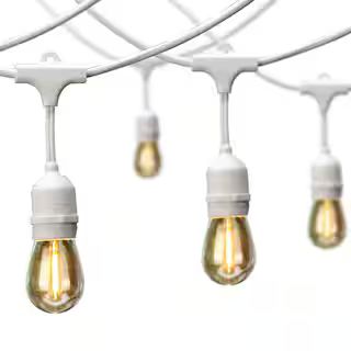 Hampton Bay 12-Light 24 ft. Indoor/Outdoor Plug-In Edison Bulb String Light with S14 Single Filam... | The Home Depot