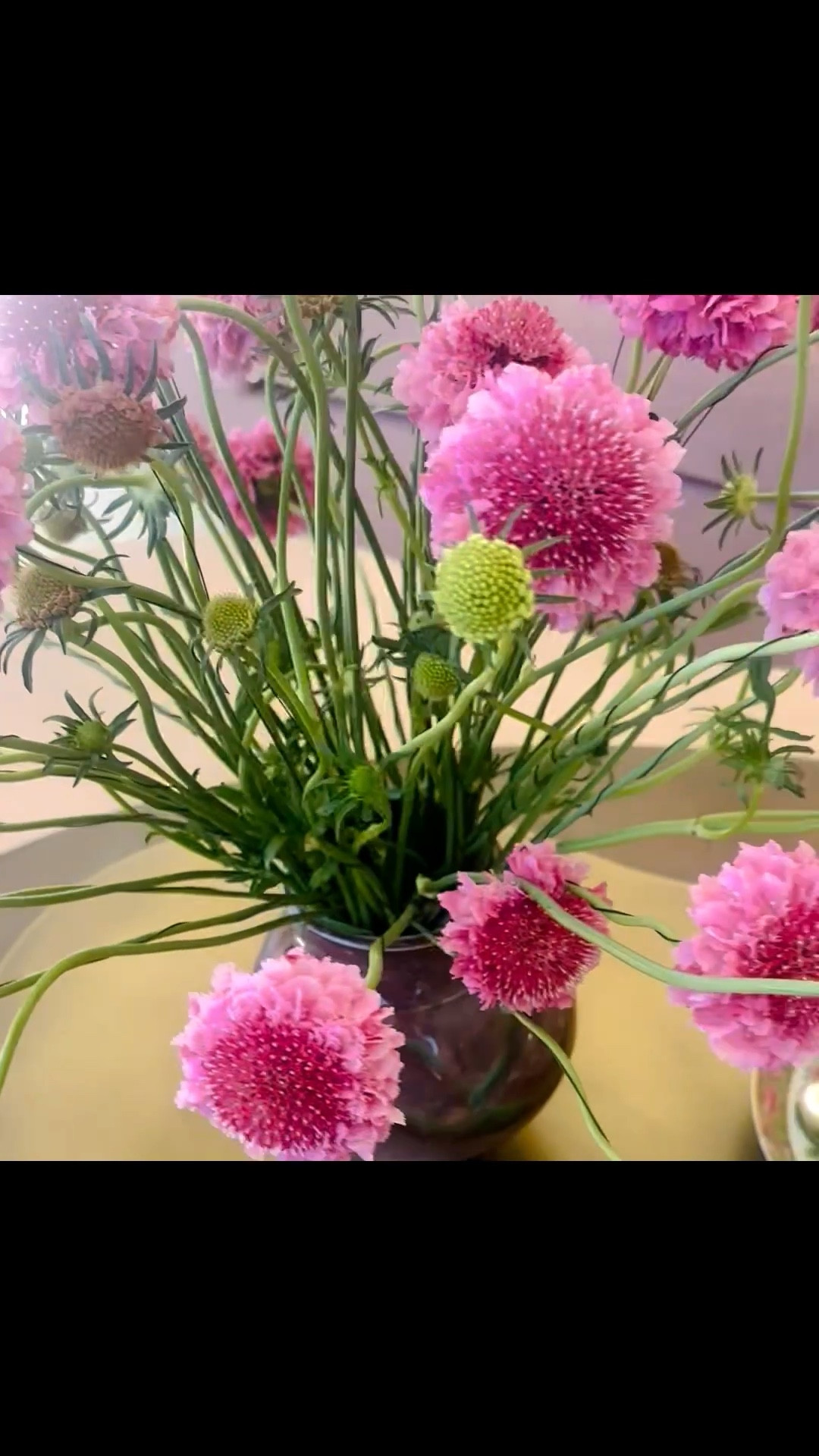 Flowers for every day — a simple way to bring beauty into the everyday. #FreshFlowers
#EverydayBeauty
#FloralInspo
#SimpleLiving
#ChicLiving #floralarrangement 

#LTKFestival #LTKHome #LTKdayinmylife