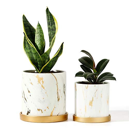 POTEY Ceramic Flower Plants Pots Planter - 3.8 Inch + 5.1 Inch Marble Container Drainage with Sacuer | Amazon (US)