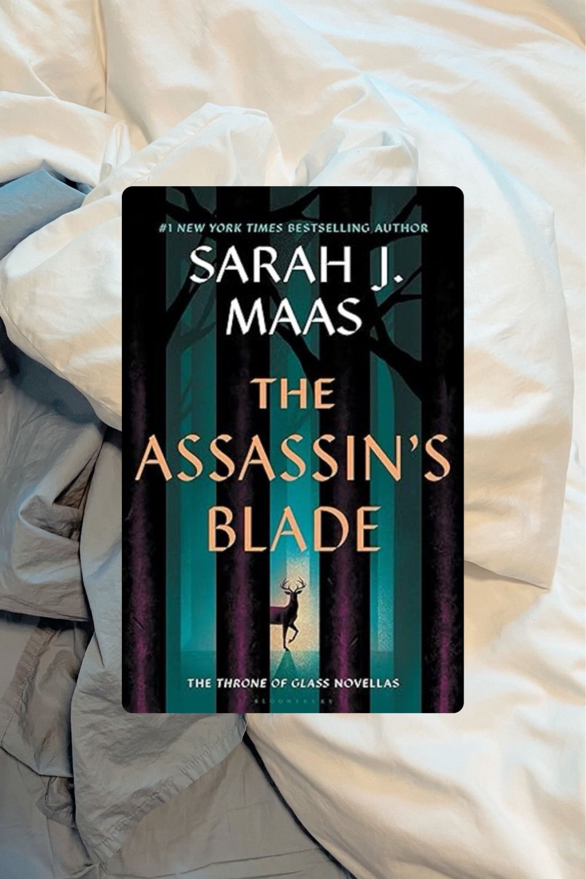 #LTKTravel #LTKSaleAlert #LTKMidsize