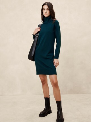 Turtle-Neck Sweater Dress | Banana Republic Factory
